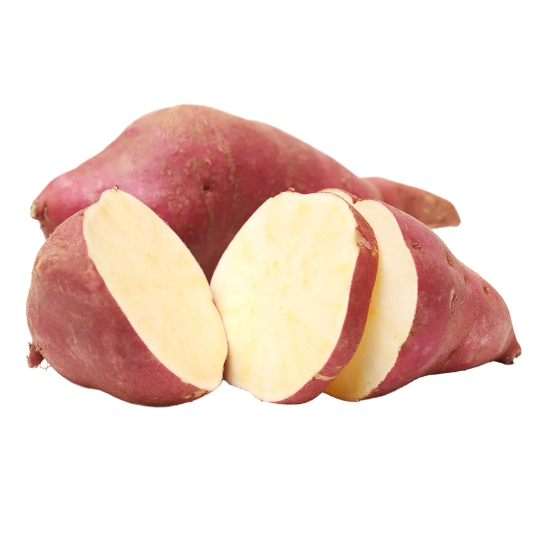 Sweet Potato