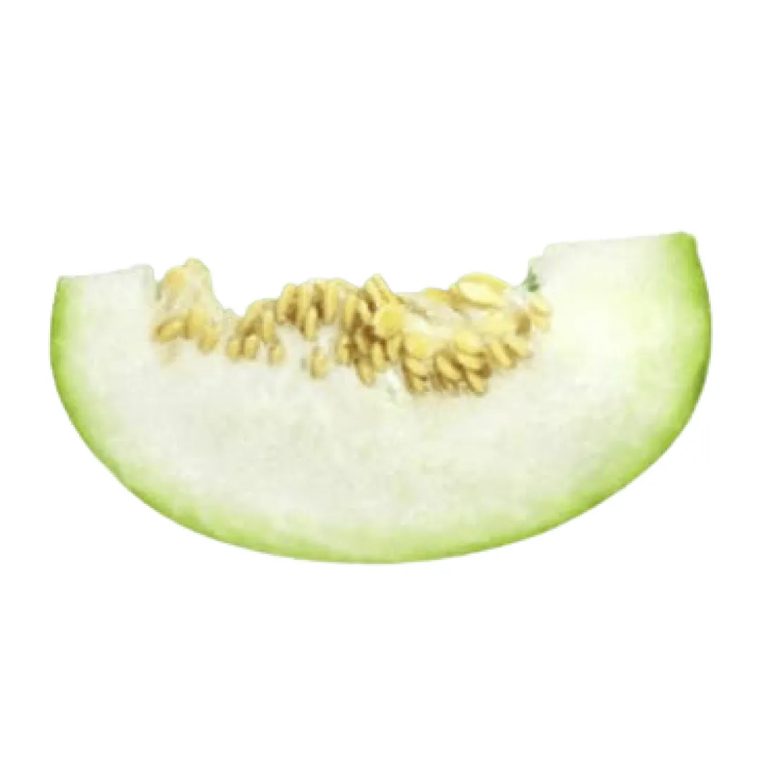 Ash Gourd