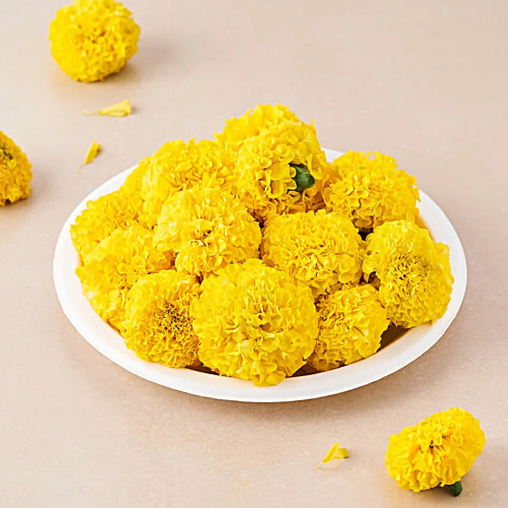 Marigold Yellow 1