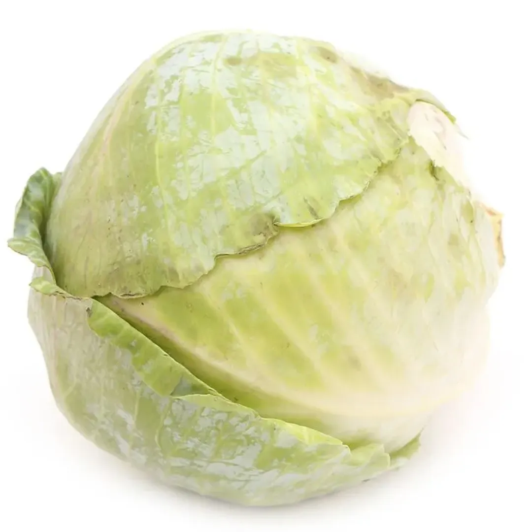 Cabbage