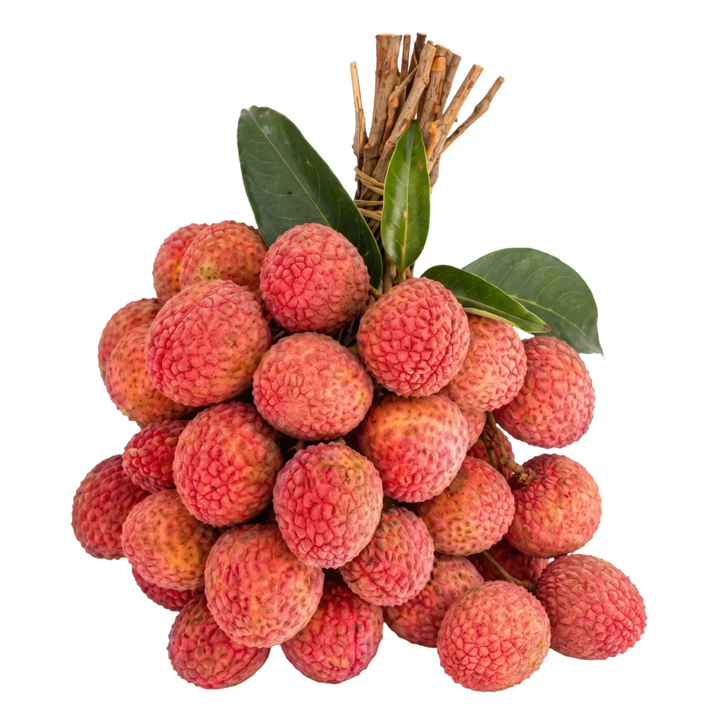 Indian Litchi