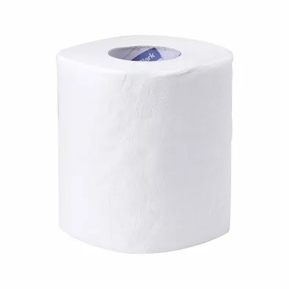 Premier Toilet Tissue 2