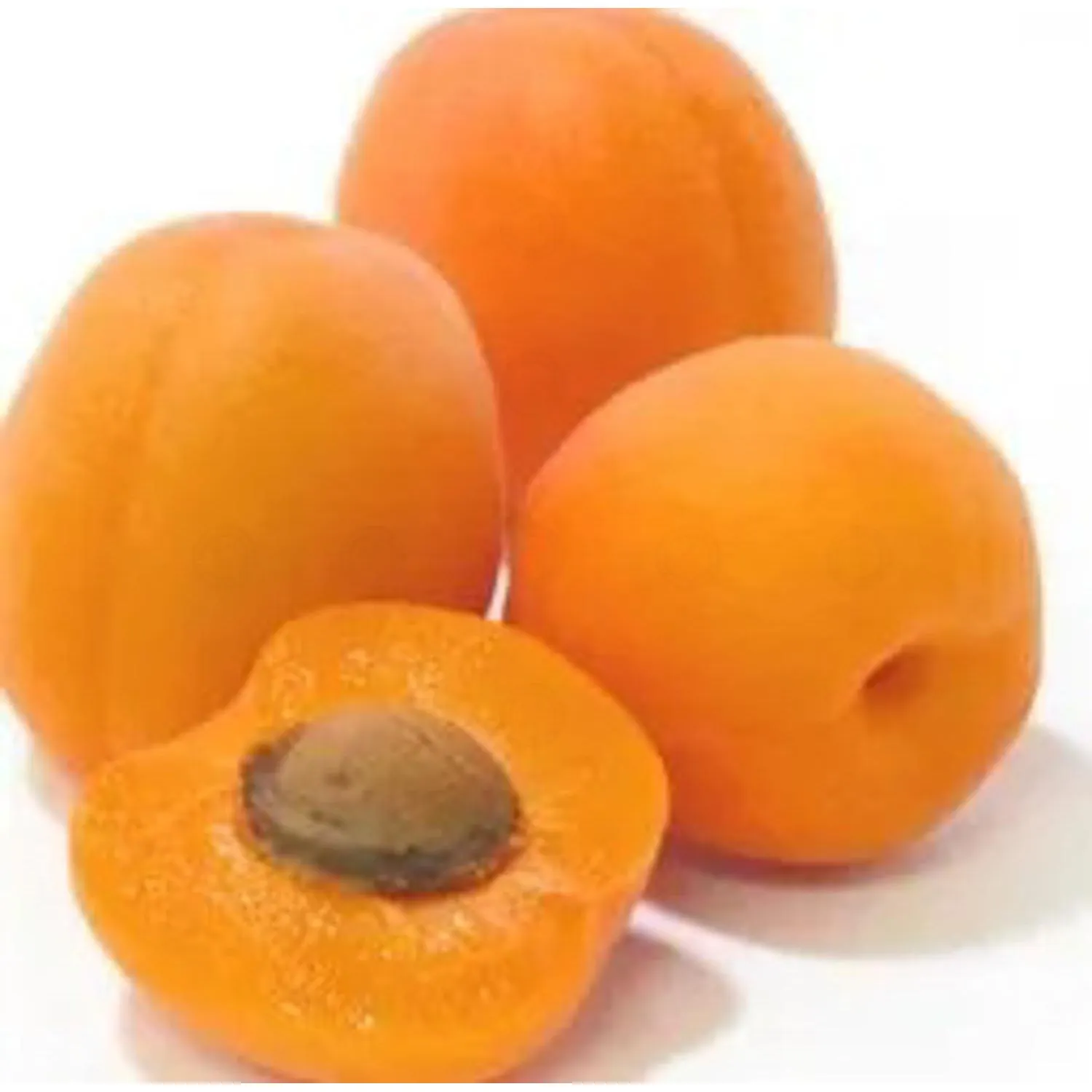Fresh Apricots
