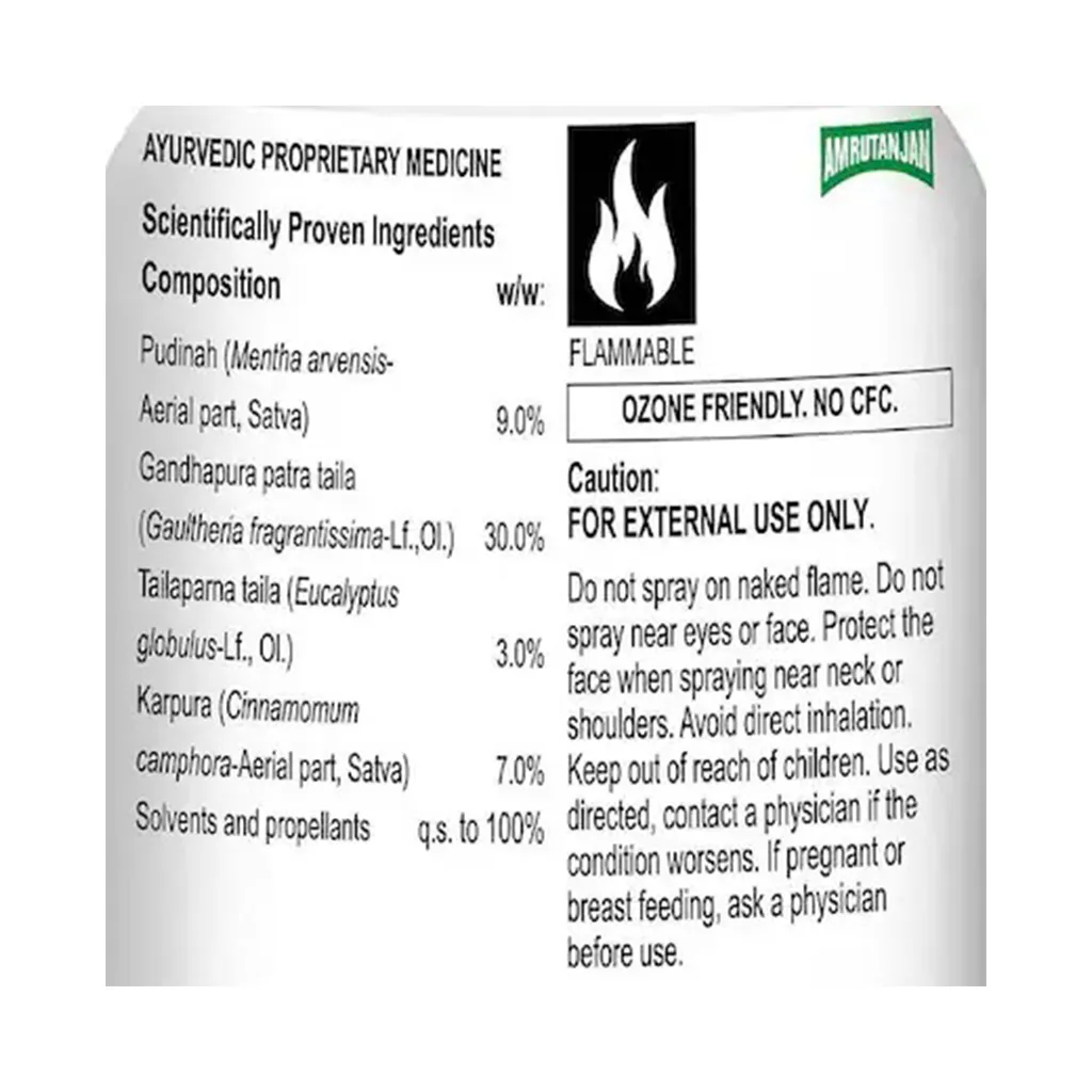 Amrutanjan Joint Muscle Spray 2