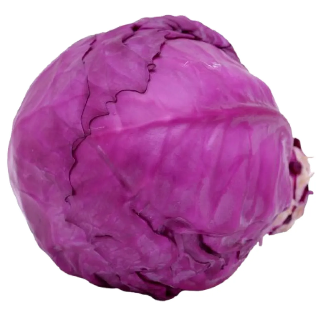 Cabbage Red