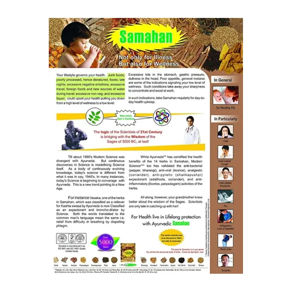 Samahan Herbal Green Tea Bag Sachet 2