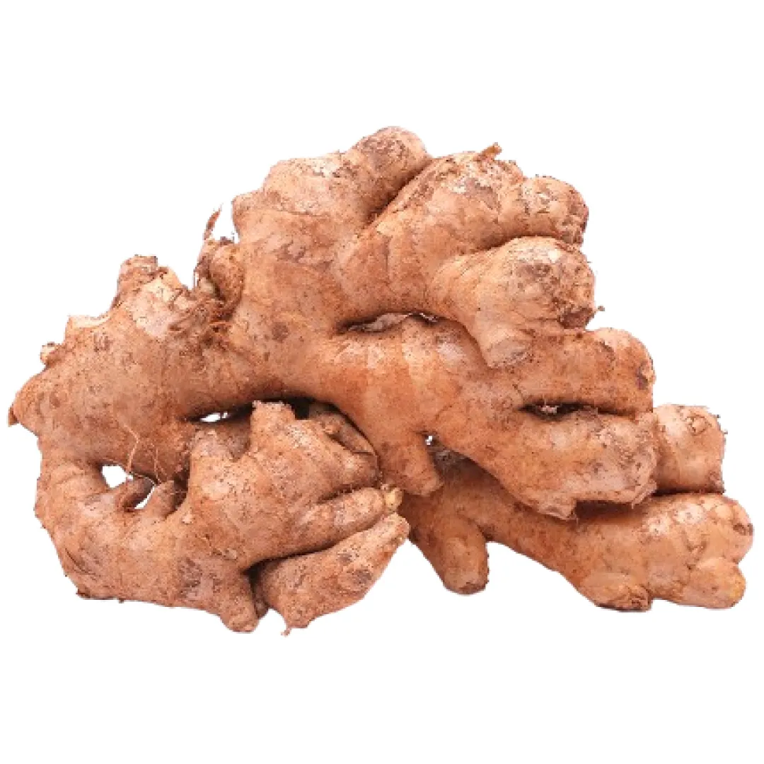 Ginger