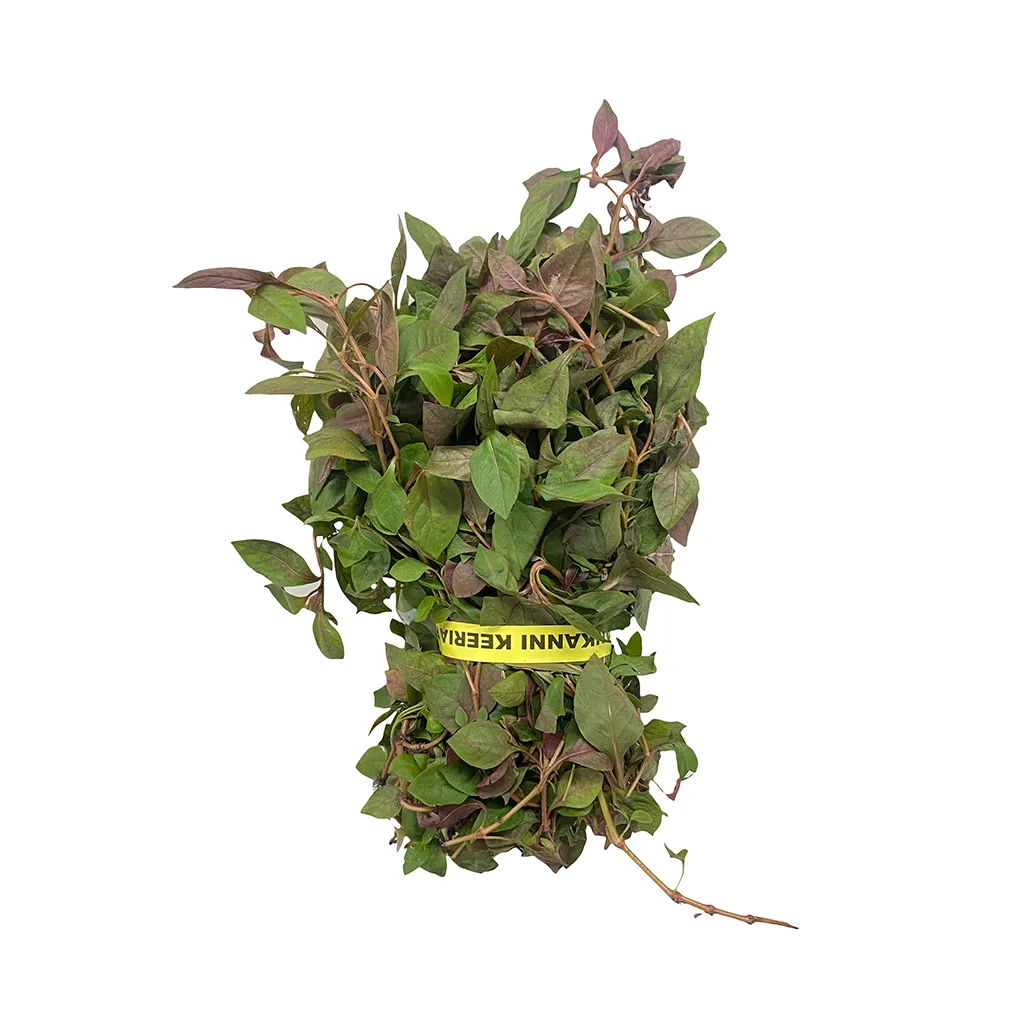 Spinach red ponnanganni