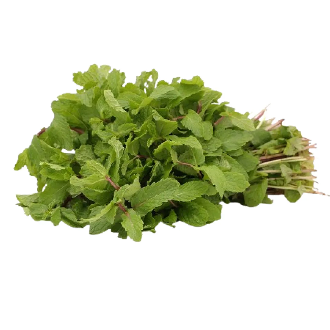 Mint Leaves