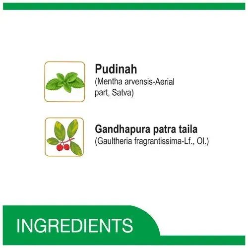 Amrutanjan Strong Pain Balm 6