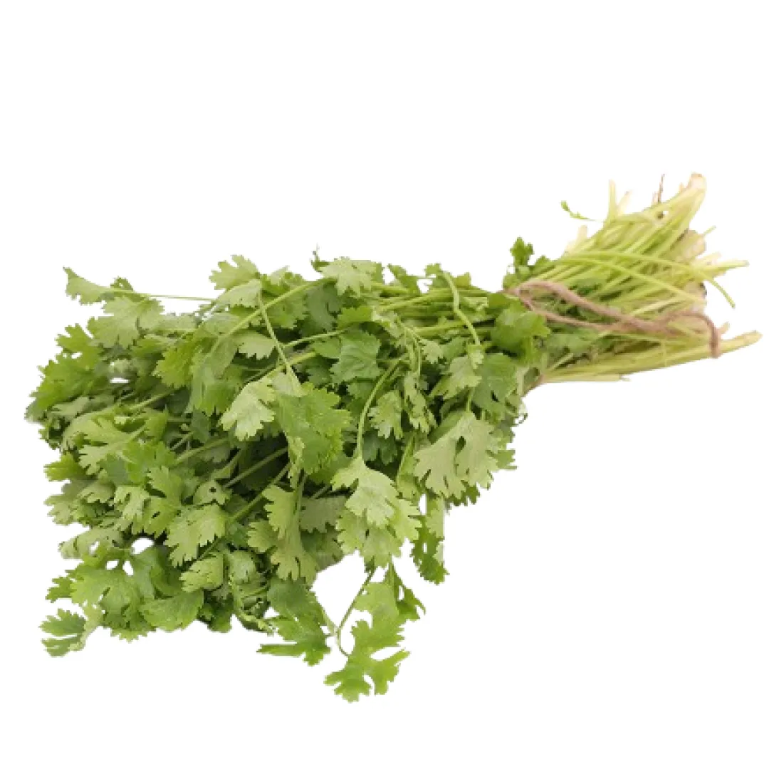 Coriander Leaves