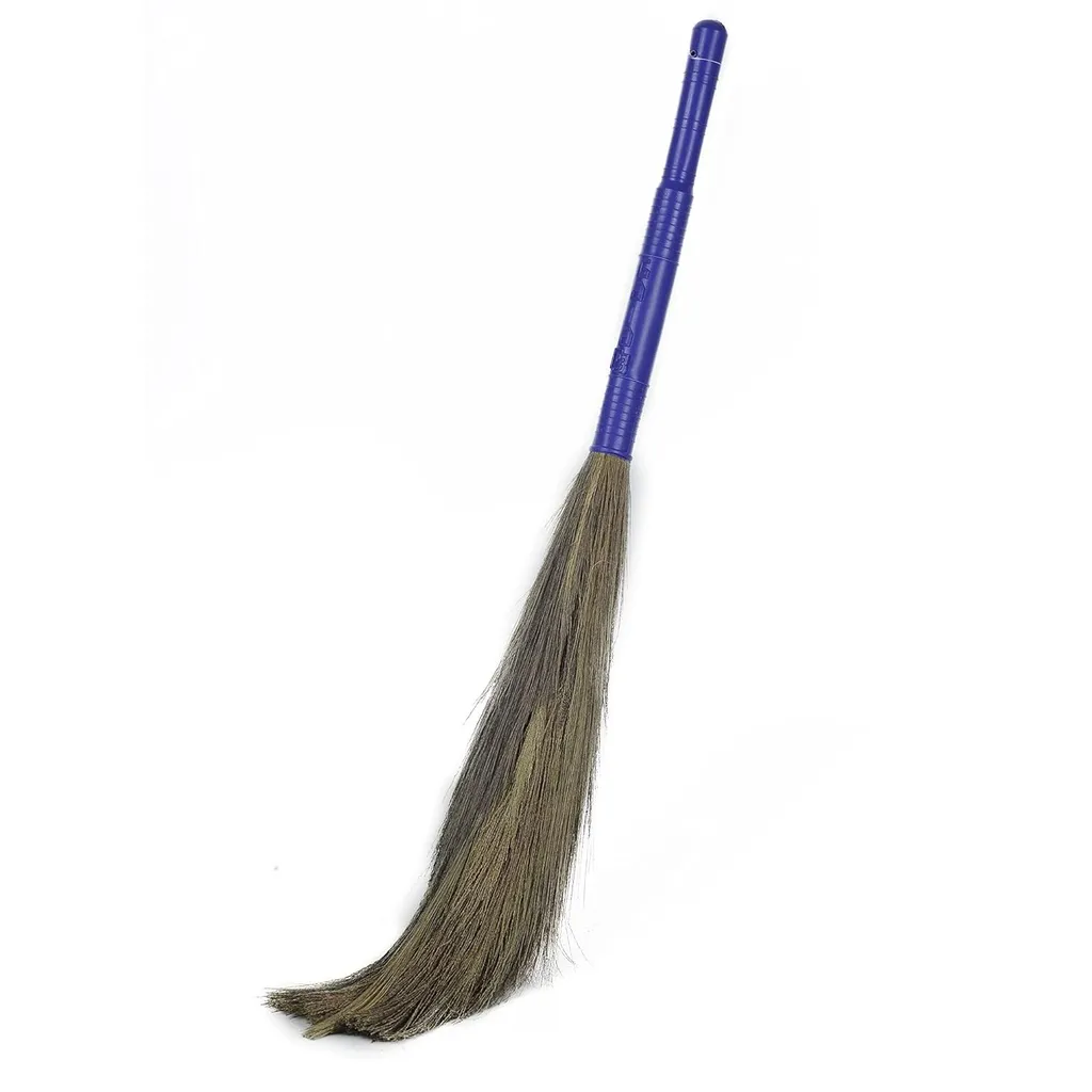 Gala Laxmi Broom 1
