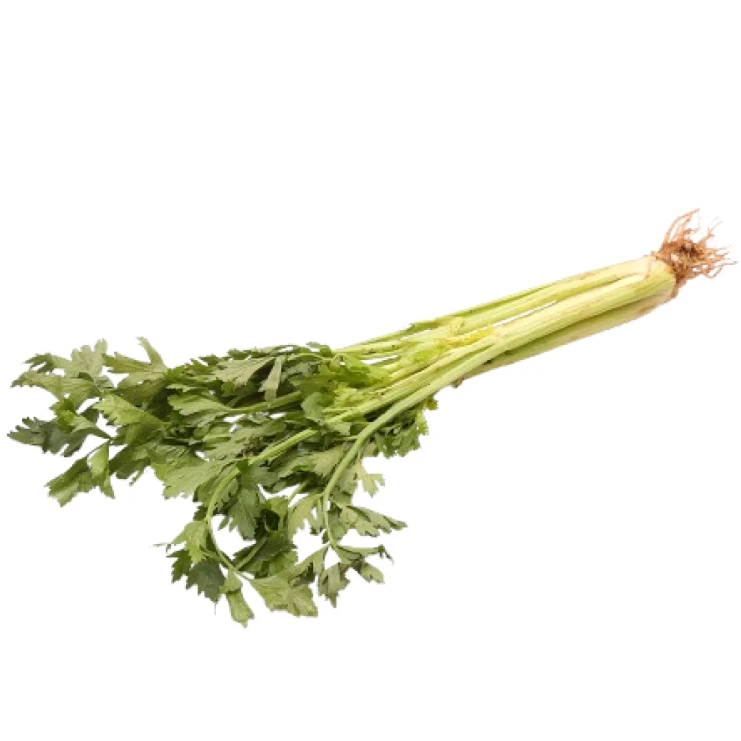 Celery