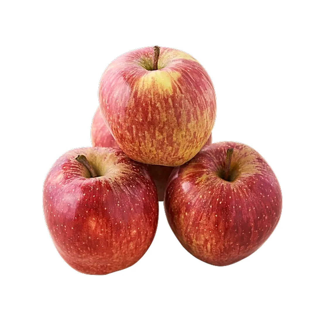 Apple Shimla Economy