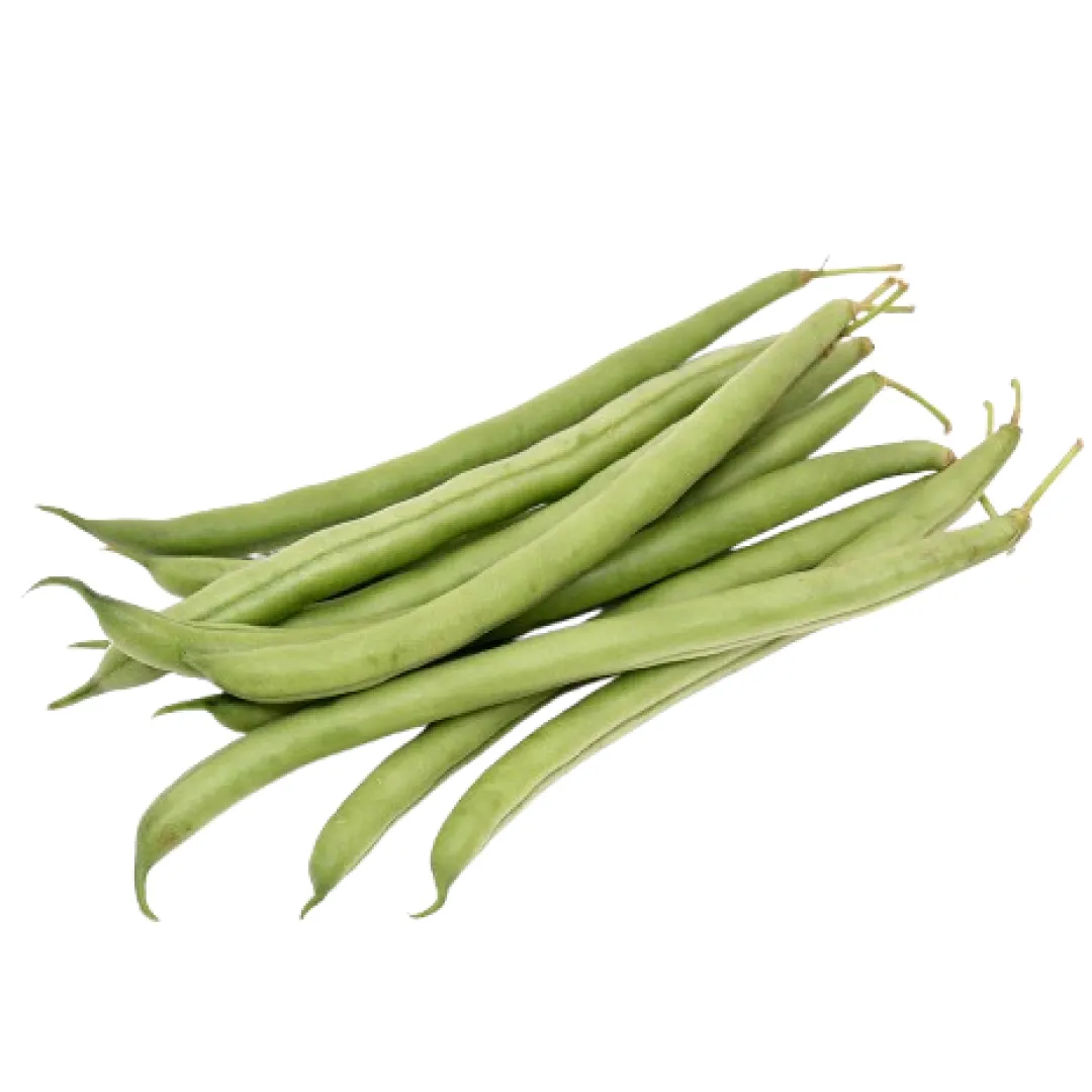 Beans Bush