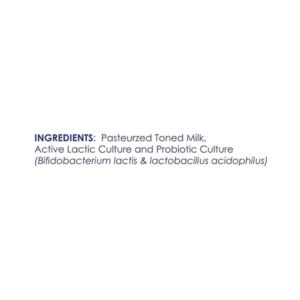Milky Mist Probiotic Curd 2