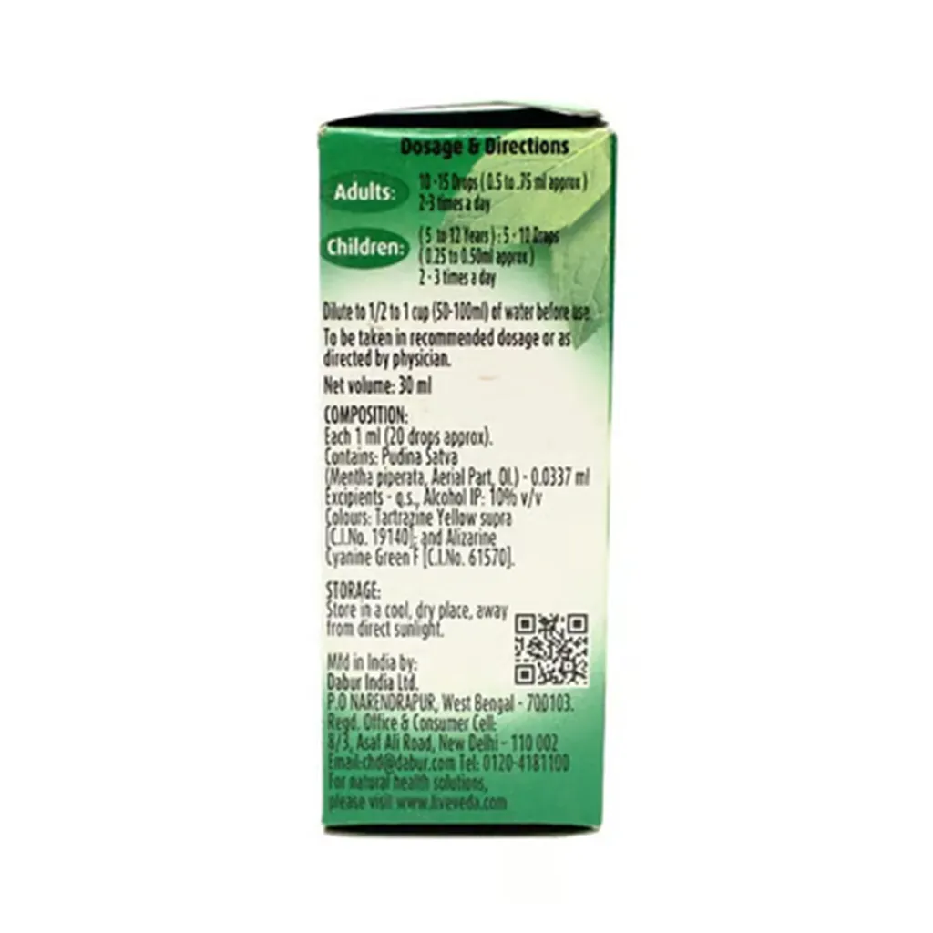 Dabur Pudin Hara Active 1