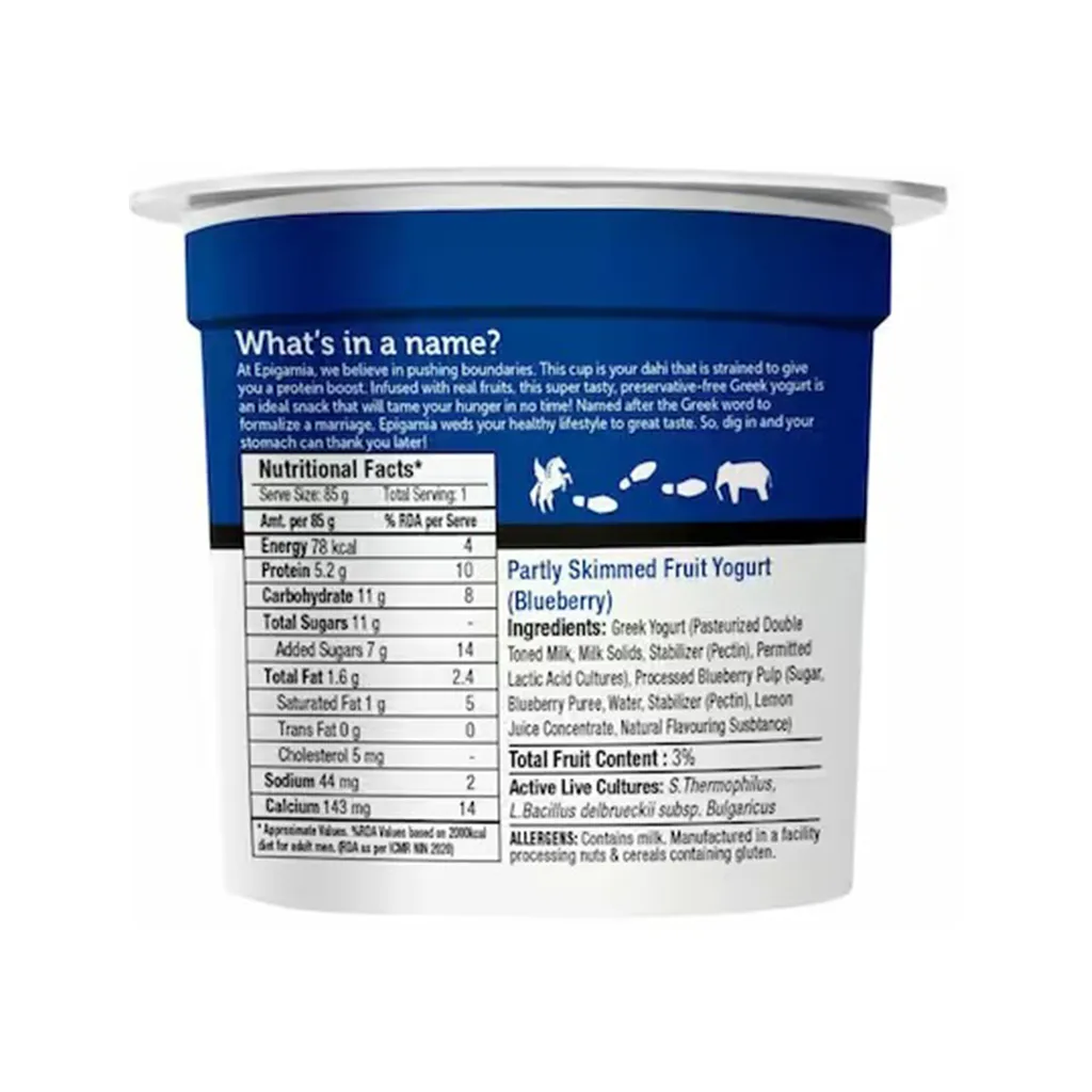 Epigamia Blueberry Greek Yogurt 1