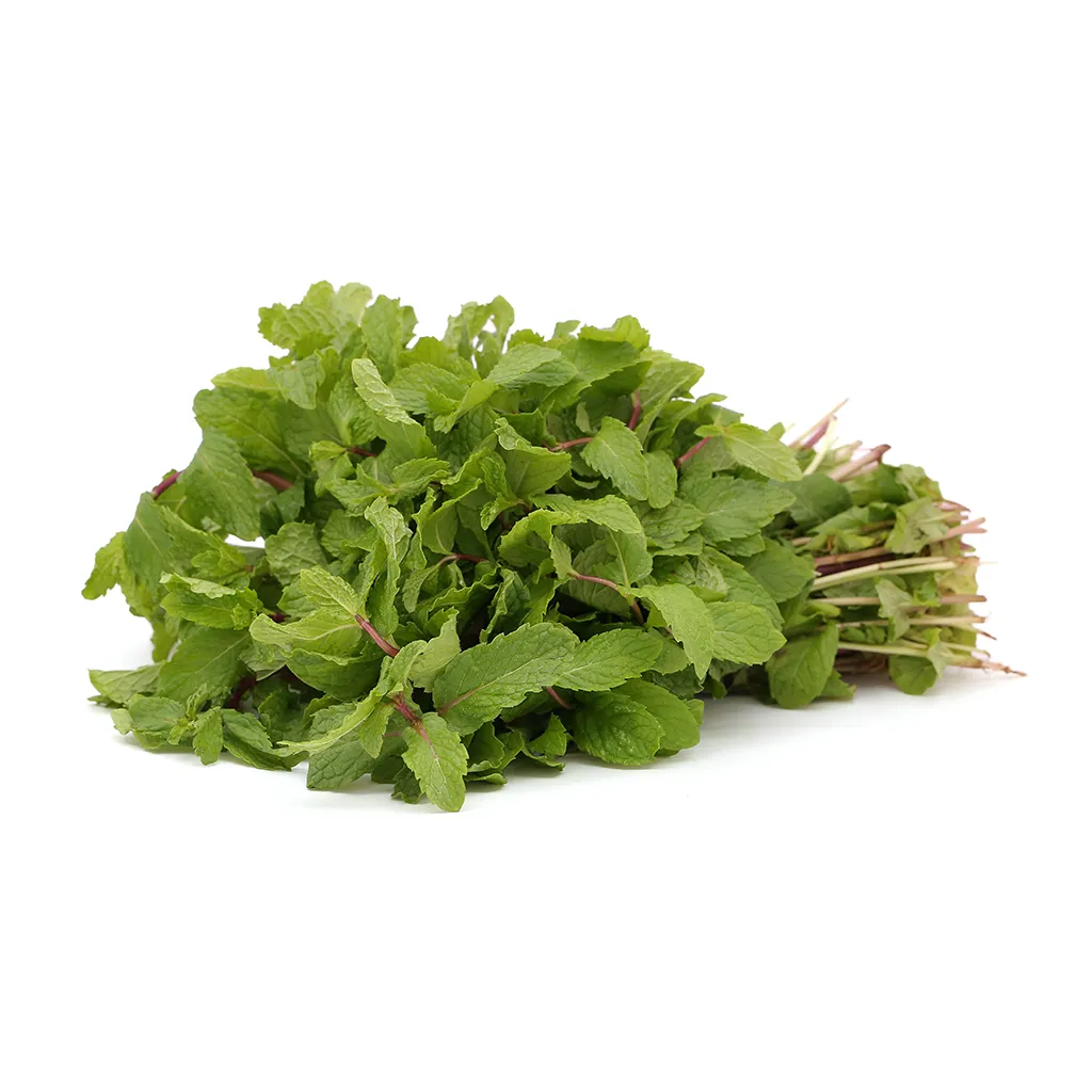 Mint Leaves (Pudina) 1