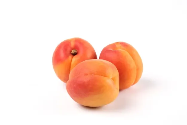 Indian Peach