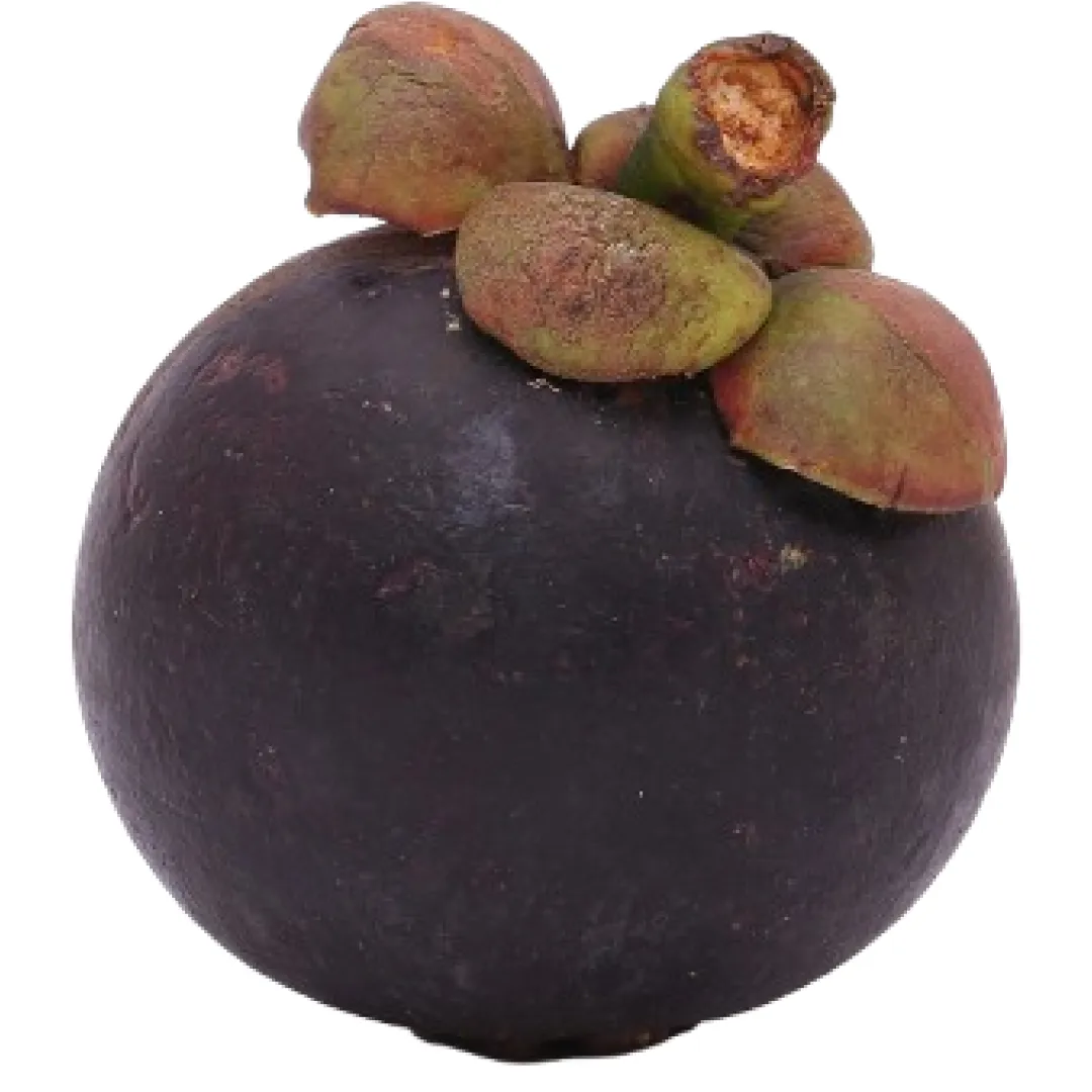 Mangosteen 1