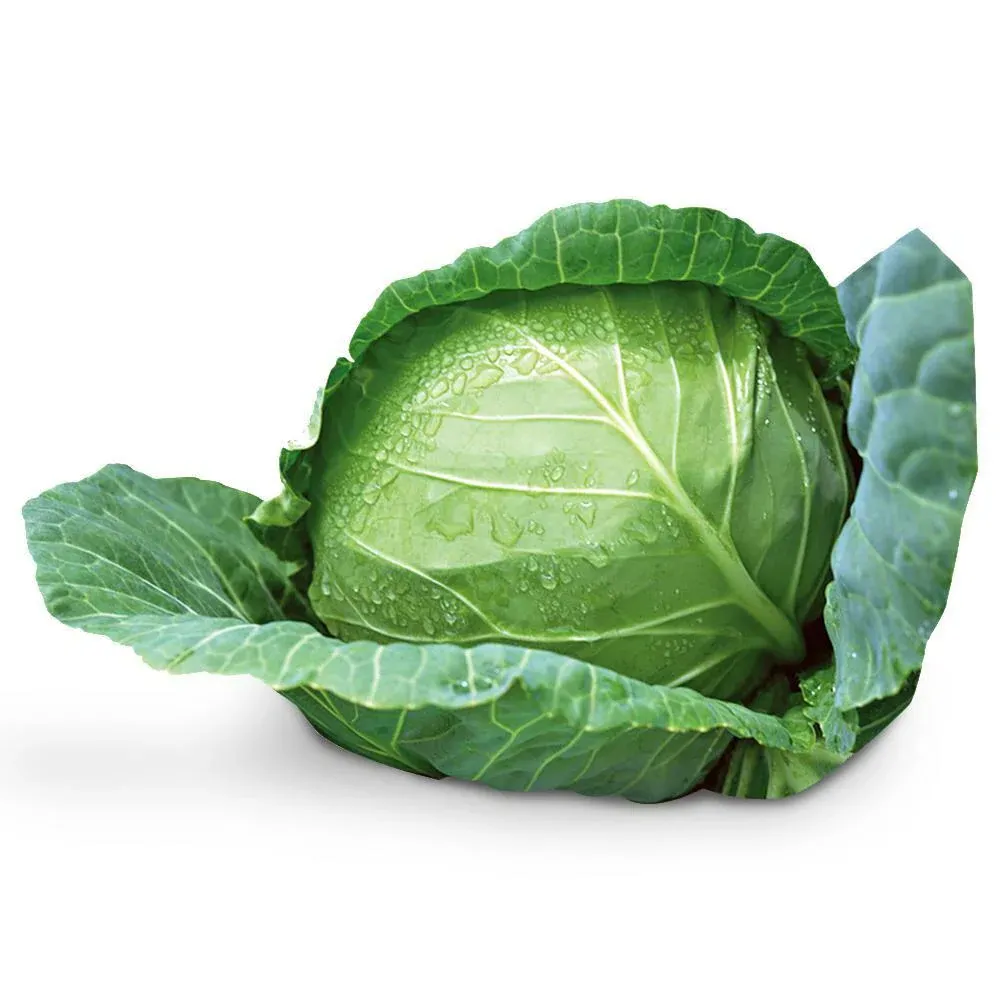 Cabbage (Best Value)