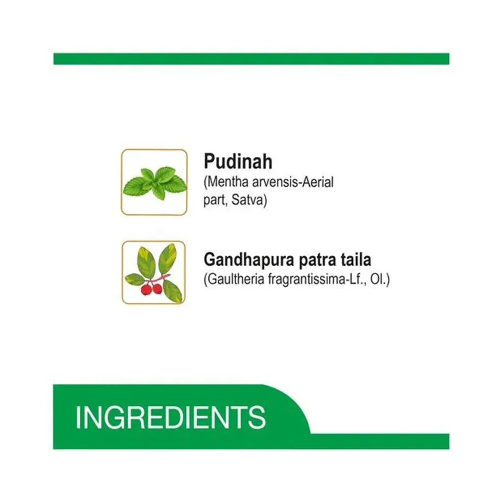 Amrutanjan Strong Pain Balm 2