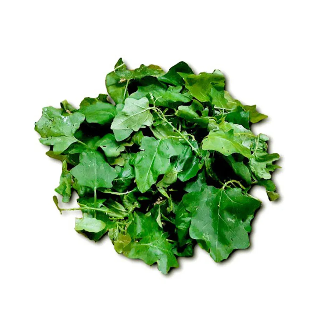 Thuthuvalai Leaves