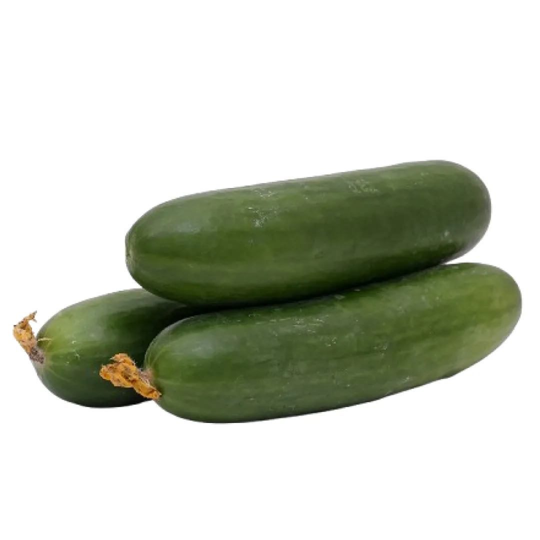 English Cucumber
