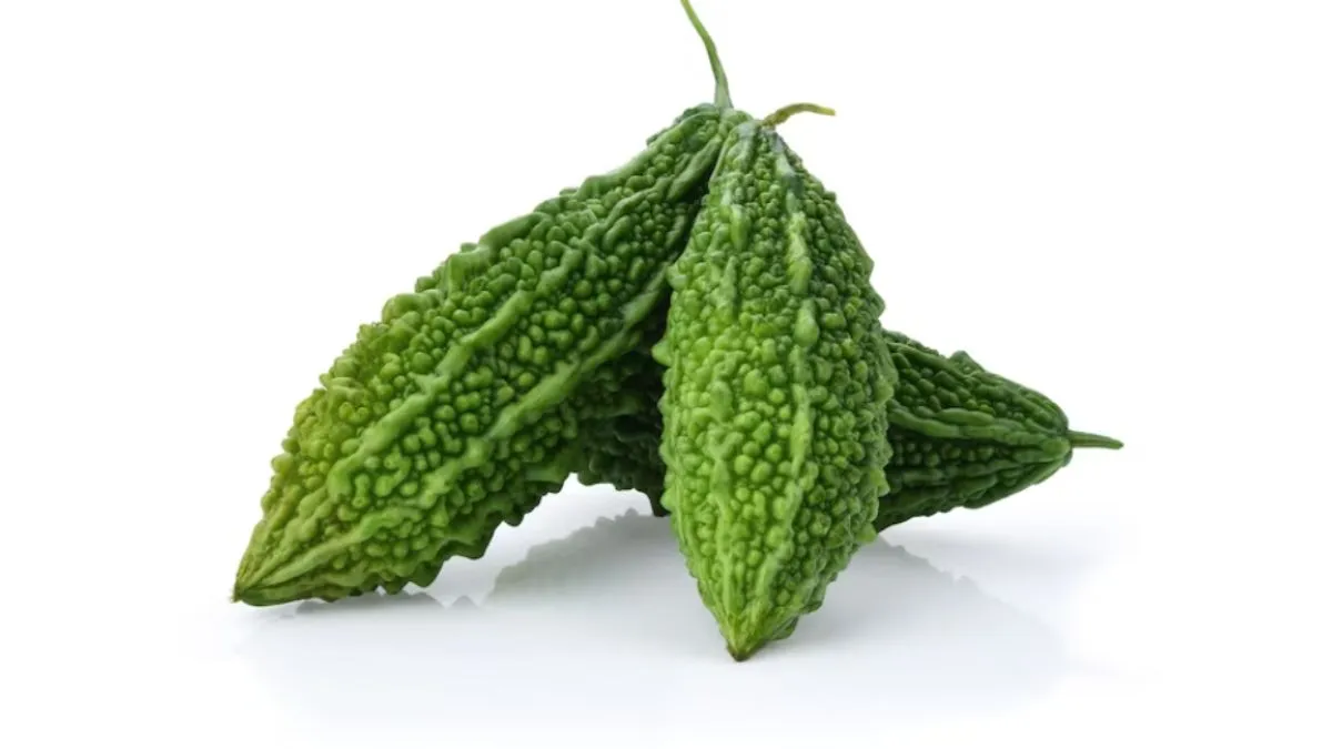 Bitter Gourd Small 1