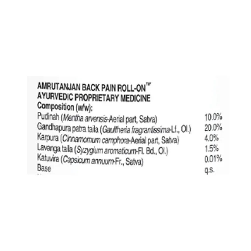 Amrutanjan Back Pain Roll On 2