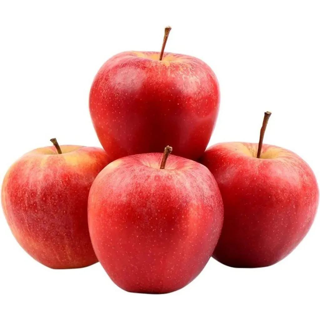 Apple Shimla Economy