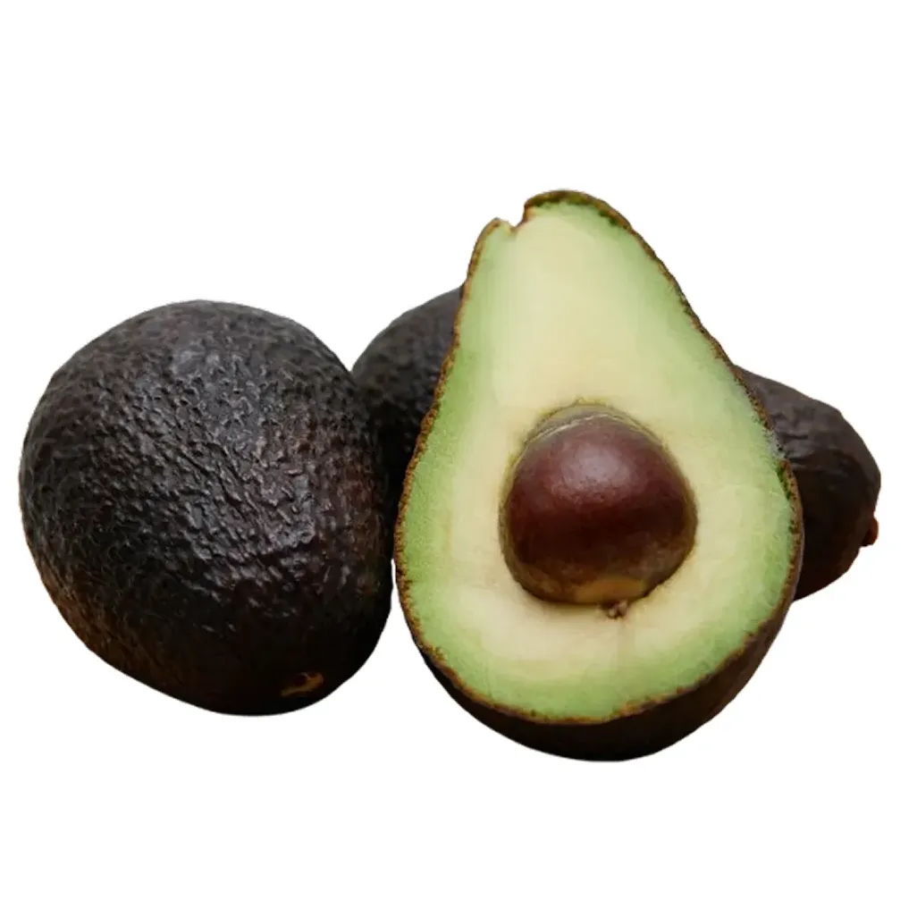 Imported Avocado