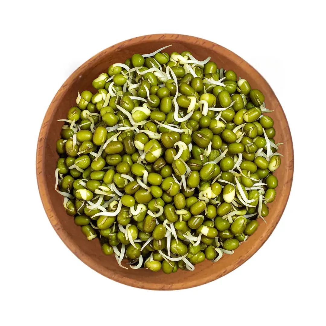 Green Gram Sprouts