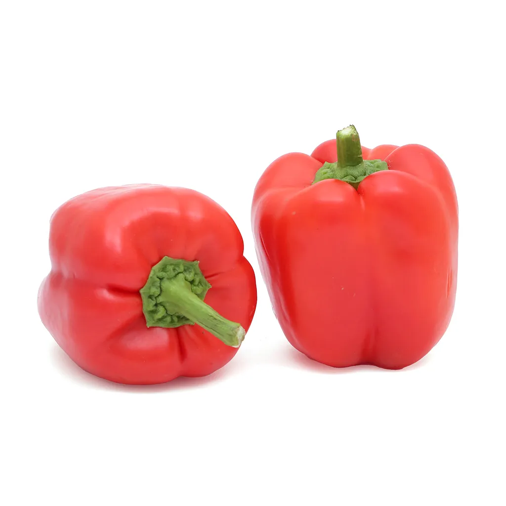 Capsicum Red (Kudai Milagai) 1