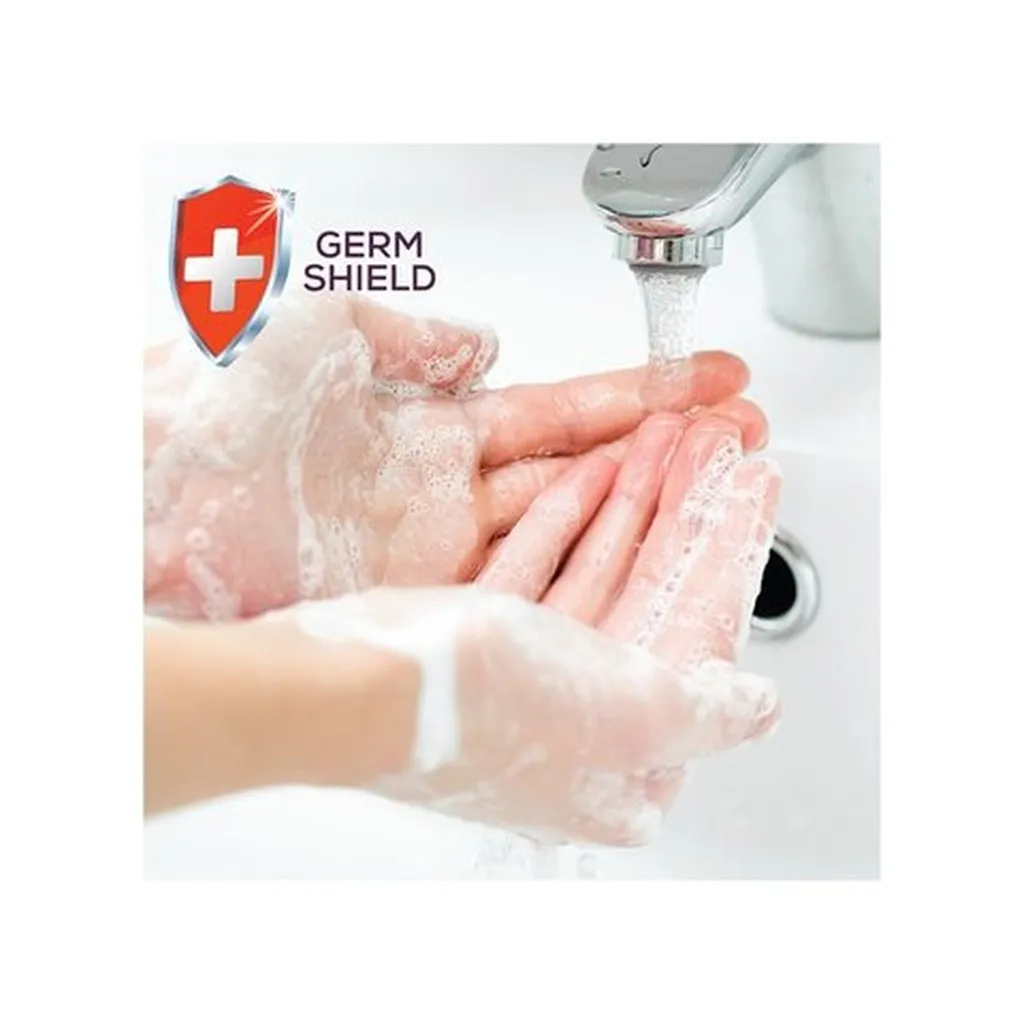 Santoor Gentle Hand Wash Sandalwood & Tulasi Classic 2