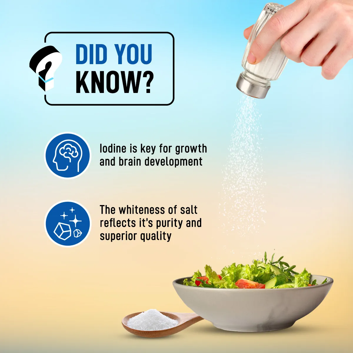 Annapurna Premium Sea Salt 3