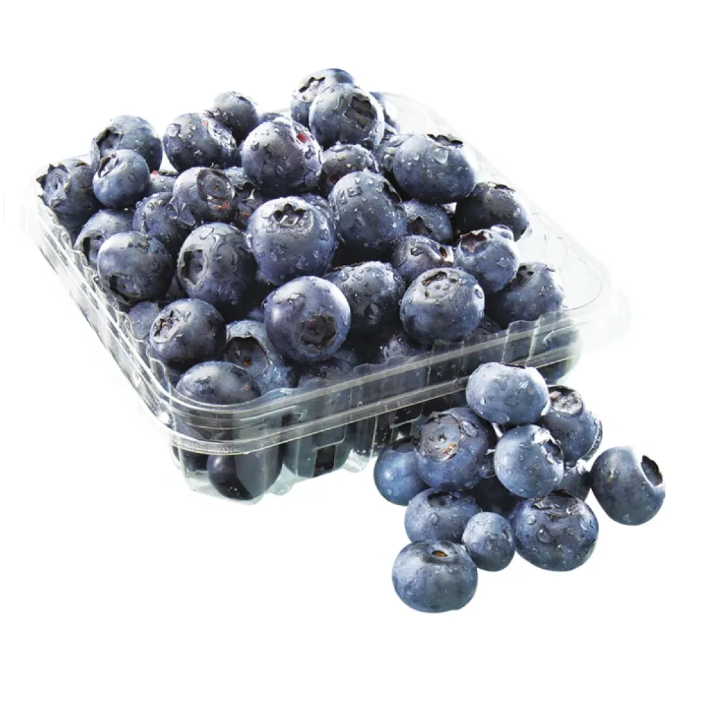Fresh Blueberry