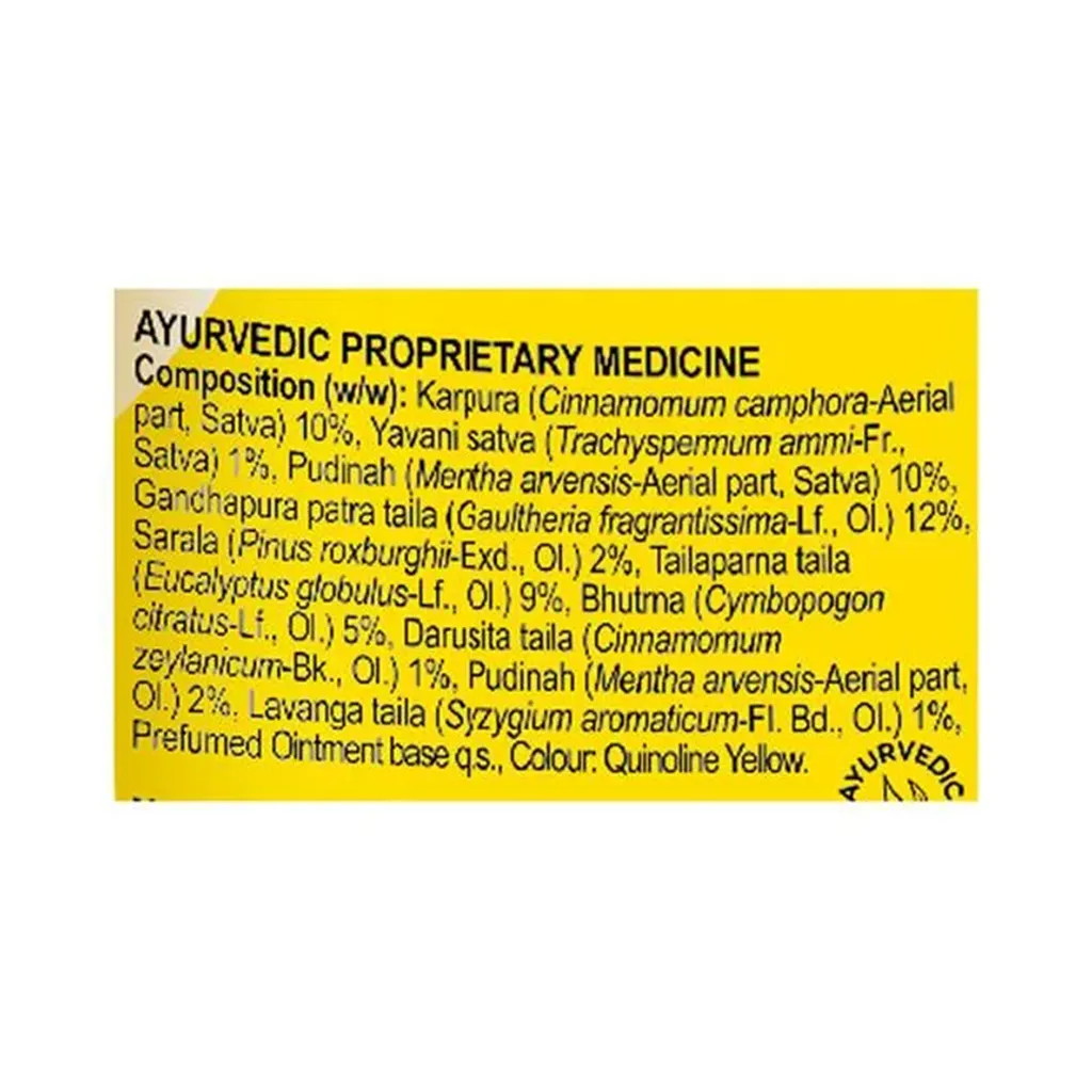 Amrutanjan Strong Pain Balm 2